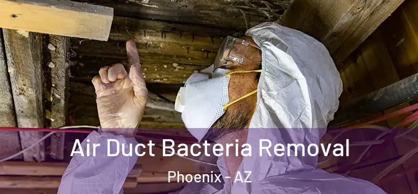  Air Duct Bacteria Removal Phoenix - AZ