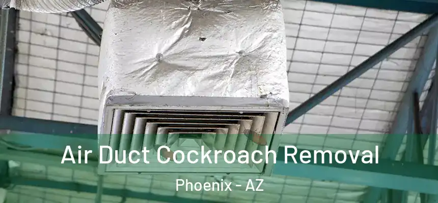 Air Duct Cockroach Removal Phoenix - AZ