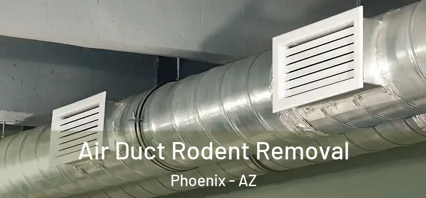  Air Duct Rodent Removal Phoenix - AZ