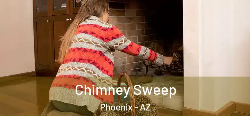 Chimney Sweep Phoenix - AZ