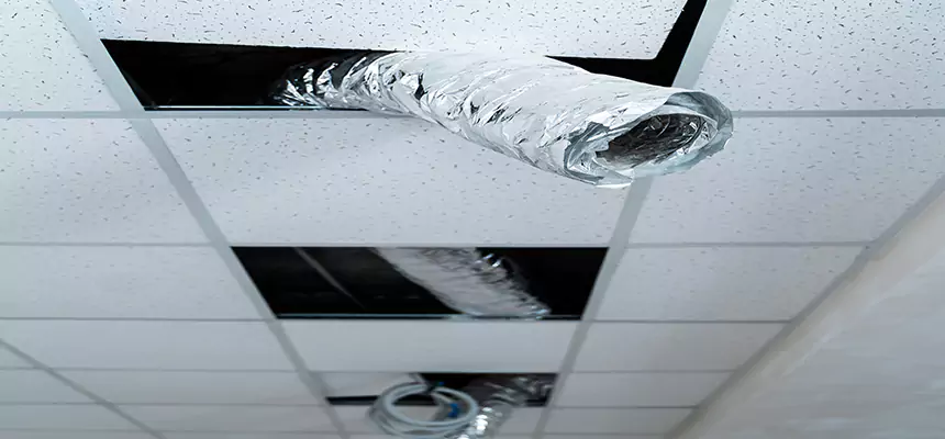 Our Air Duct Pet Hair Removal Services in Phoenix, AZ