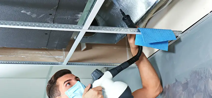 Our Air Duct Rodent Removal Services in Phoenix, AZ