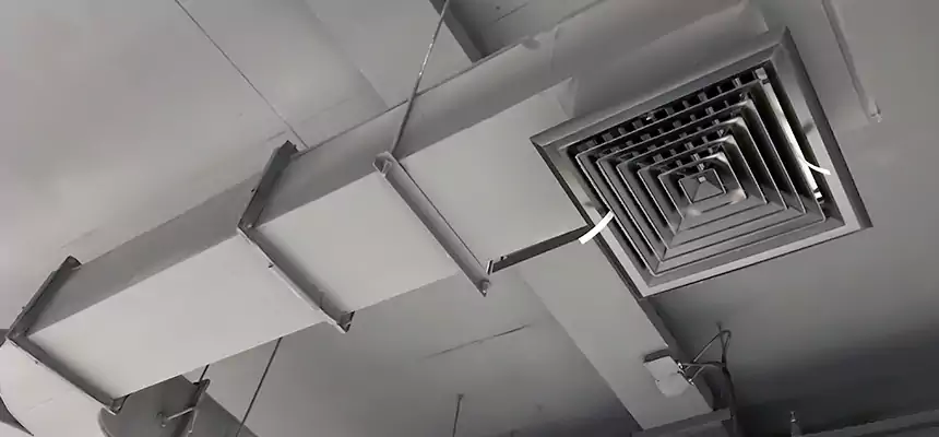 Restorative Allergy Relief Vent Cleaning – Coil, Blower & Housing Detail in Phoenix