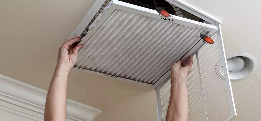 Our Insect Removal from Air Ducts Services in Phoenix, AZ