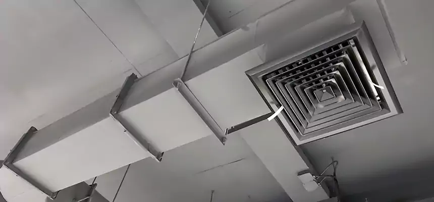 Our Pest Removal From Ducts Services in Phoenix, AZ