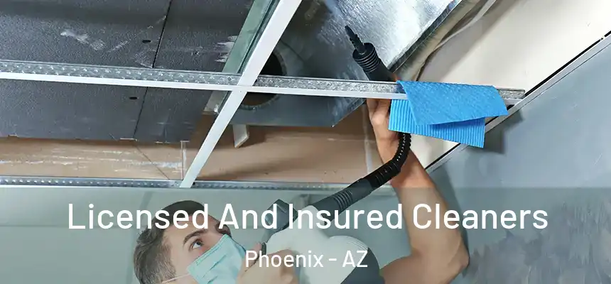 Licensed And Insured Cleaners Phoenix - AZ