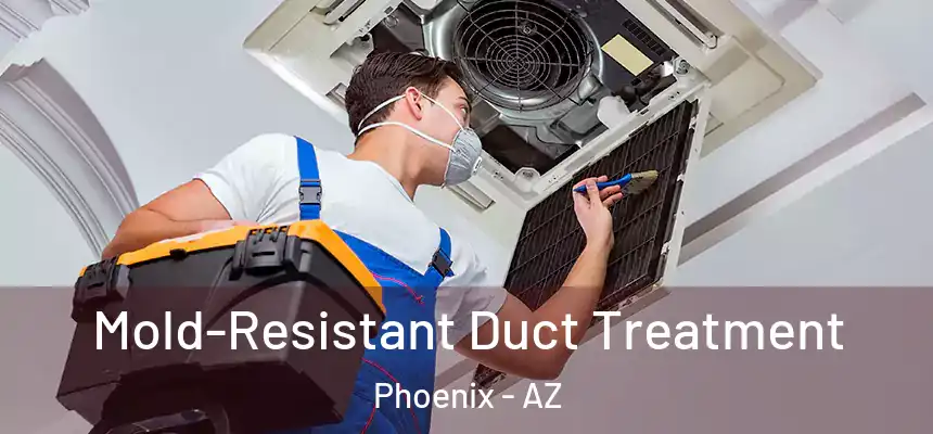  Mold-Resistant Duct Treatment Phoenix - AZ
