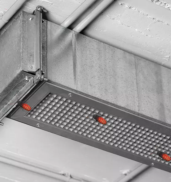About Air Duct Cockroach Removal in Phoenix, AZ