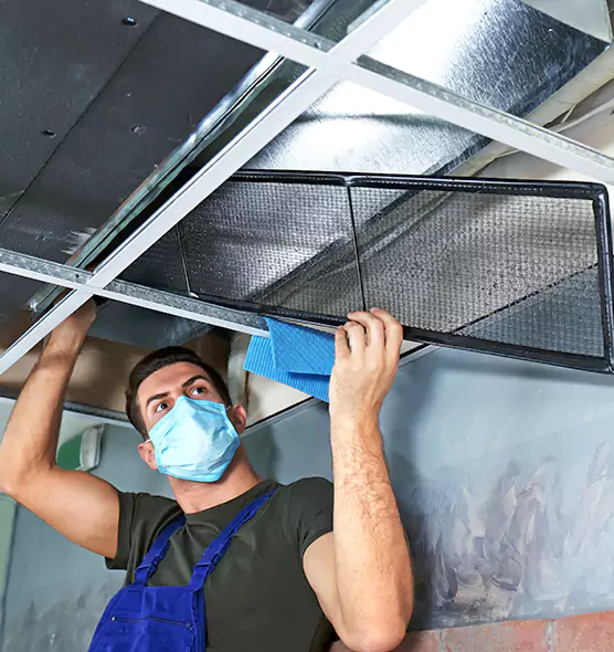 Professional Air Duct Pollen Cleaning in Phoenix, AZ