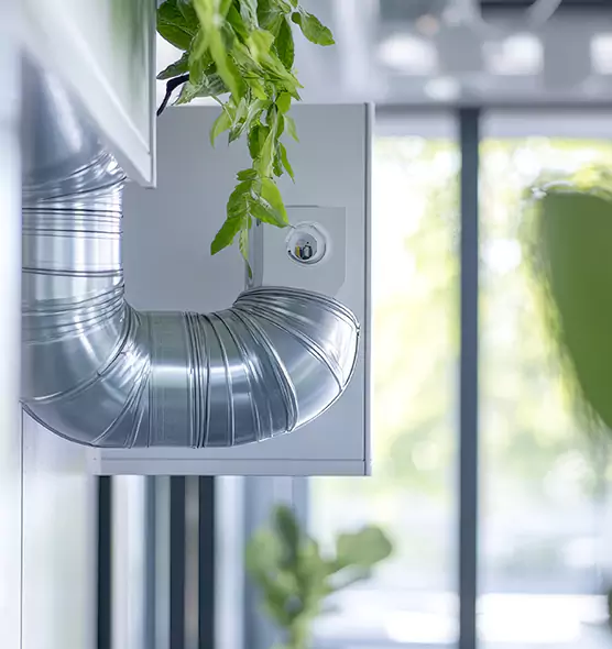 Professional Eco-Safe Dryer Vent Cleaning in Phoenix, AZ