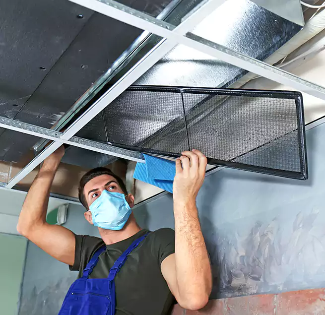 Why Homeowners Businesses Trust Us in Phoenix, AZ