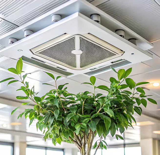 Why Homeowners & Businesses Trust Us in Phoenix, AZ?