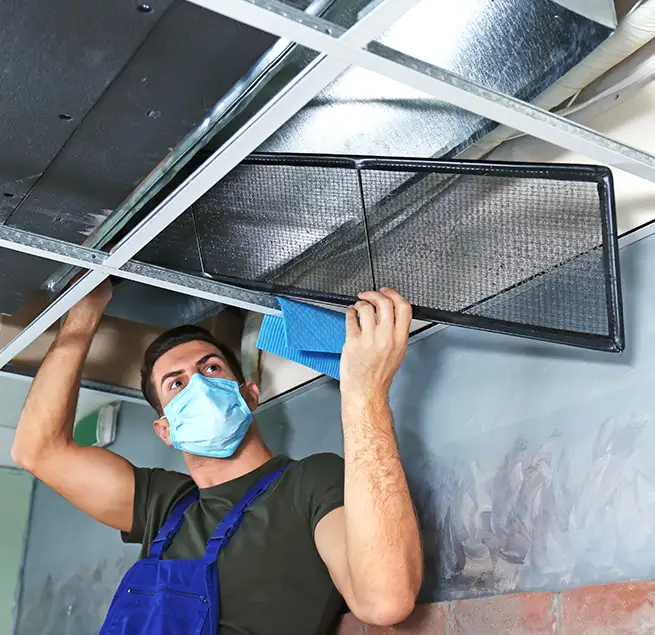 Why Homeowners & Businesses Trust Us in Phoenix, AZ?