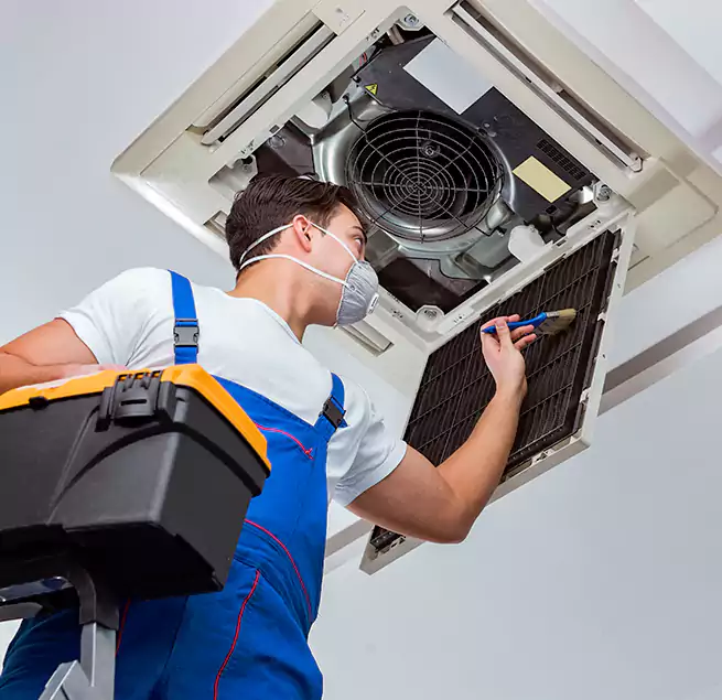 Why Homeowners & Businesses Trust Us in Phoenix, AZ?